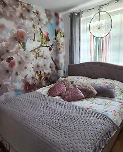 Daire Na Wydmie U Eli Ustka